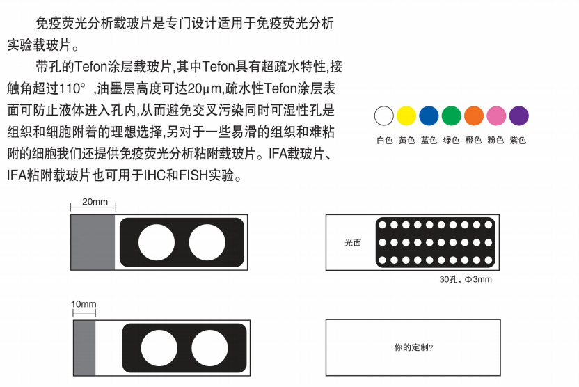 免疫荧光载玻片-1.jpg